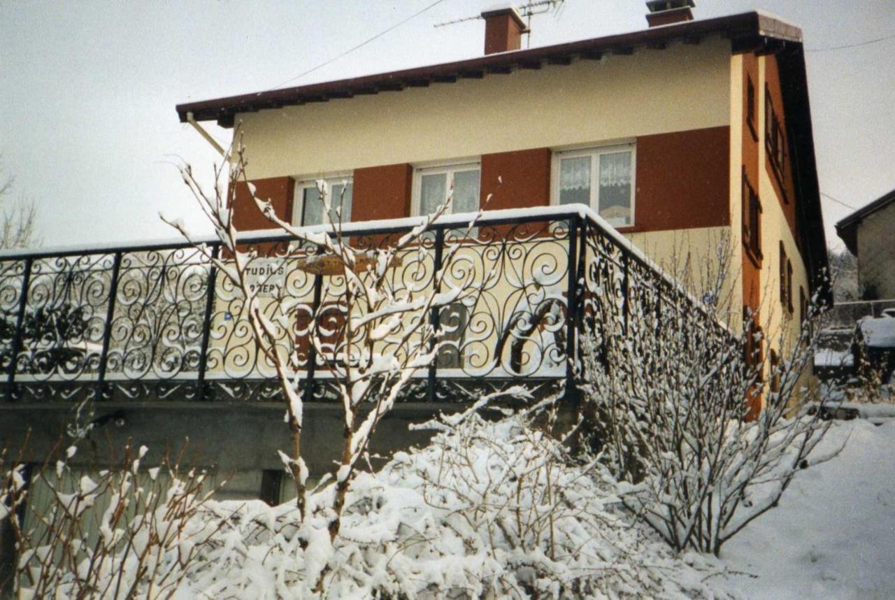 Studio Cosy Avec Vue Sur Lac Et Montagne A Gerardmer 30 M² Экстерьер фото